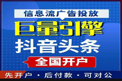 某行业巨头背后的SEM代运营服务公司
